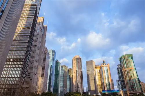 遛狗时要牵绳是什么法律