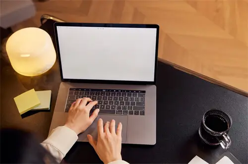 法律的代表元素是什么